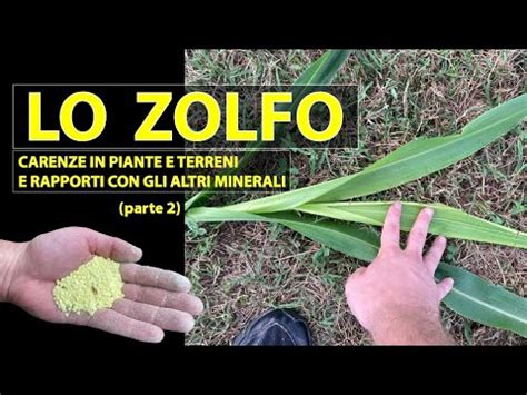 Lo Zolfo In Agricoltura Parte Elemento Fondamentale Per Buone Produzioni E Di Buona