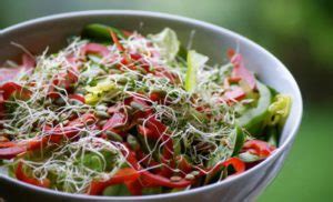 Alfalfa Sprout Salad Monishgujral