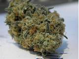 Pictures of Buying Marijuana In Nevada