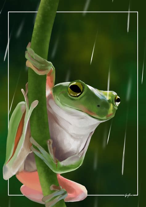 Artstation Frog Study