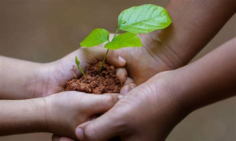 Cómo podemos financiar nuestros proyectos sustentables Cuál es tu