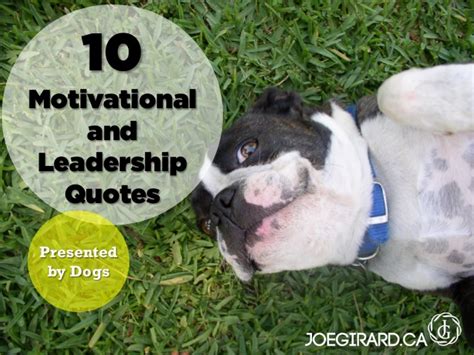 'outside of a dog, a book is man's best friend. 10 Motivational and Leadership Quotes - Presented by Dogs