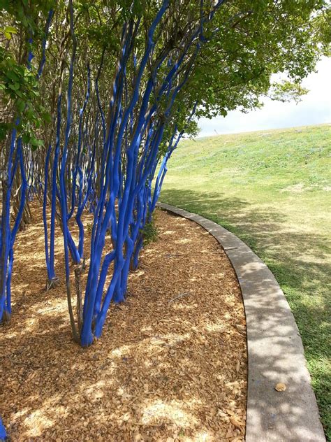 Awesome Things To Do In Houston Tree Art Blue Tree Tree Painting