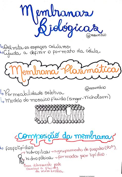 Membranas Biológicas Bioquímica I