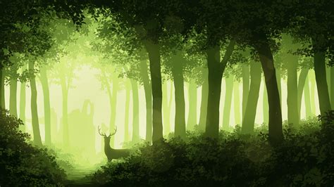 1920x1080 Forest Wallpapers Top Free 1920x1080 Forest Backgrounds