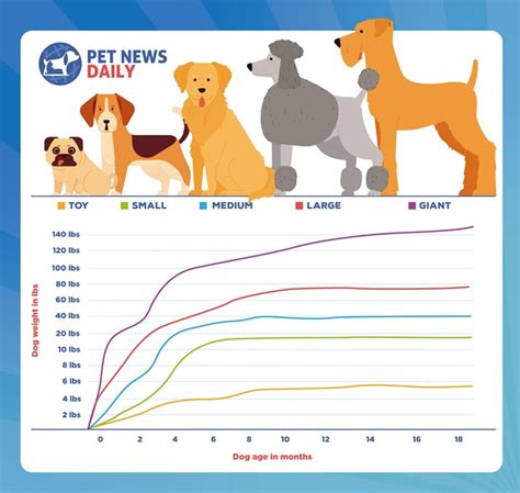 Puppy Weight Calculator How Big Will My Dog Get Pet News Daily