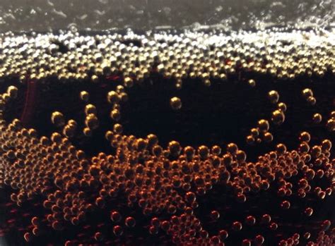 Does The Fizz In Soda Add To Our Sugar Cravings Healthy Food And Healthy Living By Dr Ayala