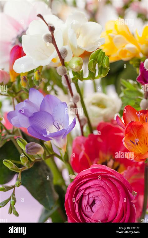 Colorful Spring Flowers Stock Photo Alamy