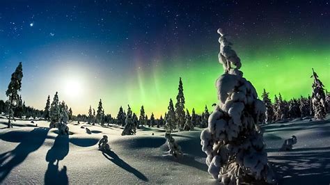 Hd Wallpaper Northern Lights Sky Winter Atmosphere Snow Tree