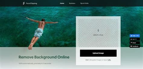 FocoClipping Review: Is This Free Photo Background Remover Good to Use ...
