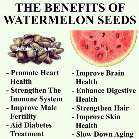 Watermelon Seeds Sere Fruit
