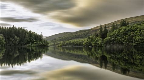 Forest Trees Reflection On Calm Body Of Water Under Cloudy Sky During