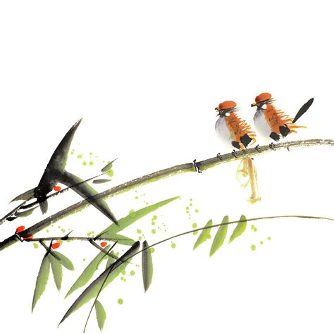 Chinese Painting With Birds Digital Art By Vii Photo