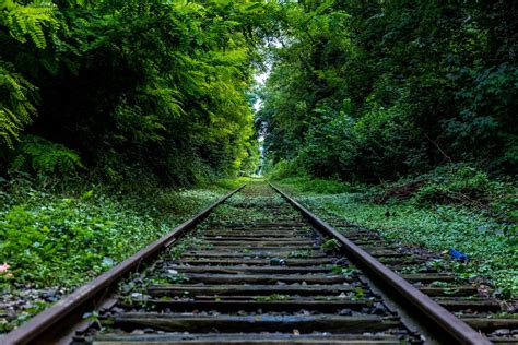 картинки дерево природа трек Железнодорожный железная дорога Солнечный лучик рельс