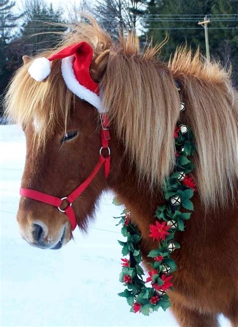 Pin By Dee Dee On Christmas Country Christmas 2 Christmas Horses