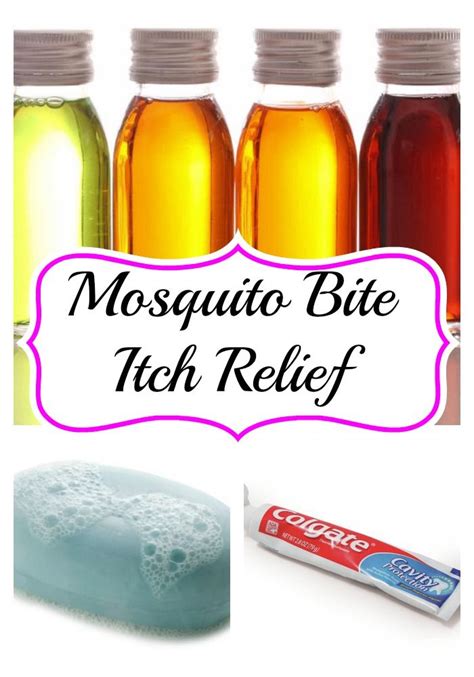30 Mosquito Bite Itch Relief Tips Bug Bites Remedies Mosquito Bite