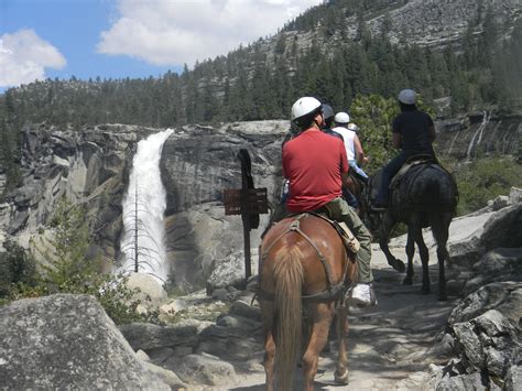 Riding Horses In Yosemite 2011 With Images Yosemite National Park