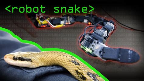 Robot Snake Computerphile Youtube