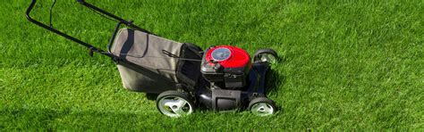 You will have to do the proofreading yourself. Mow The Lawn Yourself Or Pay For A Mowing Service? | AWP ...