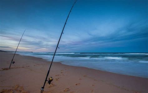 Saltwater Fishing 101 Few Ideas On How To Buy Beach Fishing Rods