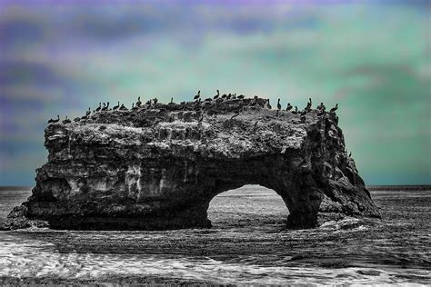 Natural Bridges State Beach Photograph By Wes Jimerson
