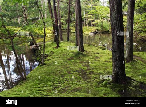 Kyoto Moss Garden Hi Res Stock Photography And Images Alamy
