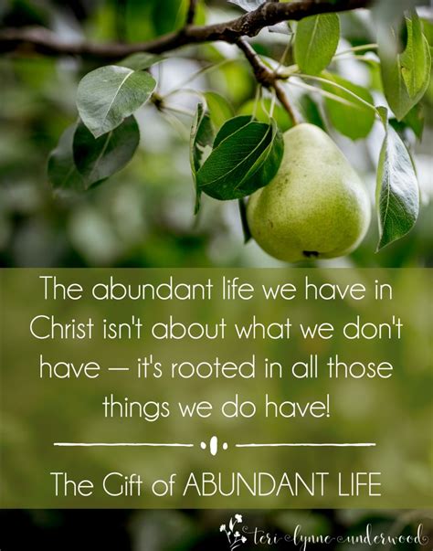 The T Of Abundant Life Teri Lynne Underwood