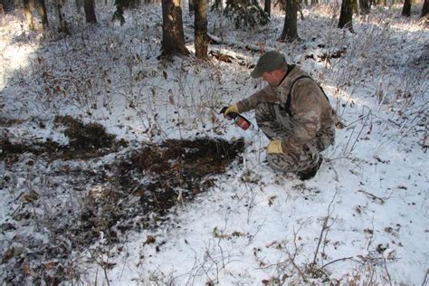 Deer Rut Timeline The 7 Stages And How To Hunt Them Guidefitter