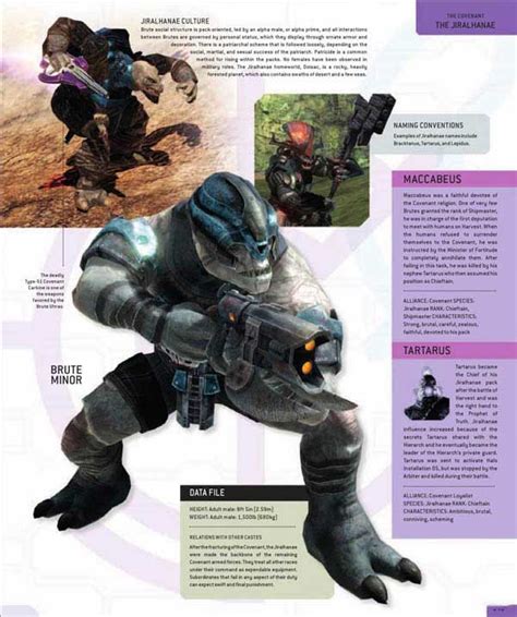 Halo Encyclopedia The Definitive Guide To The Halo Universe Pdf