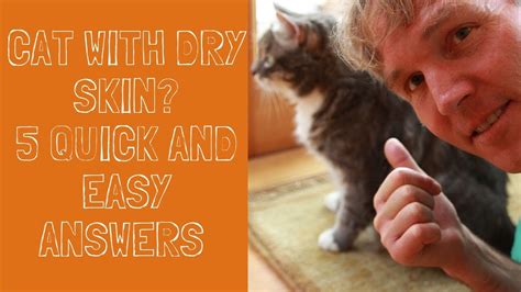 Dry Skin And Dandruff In Cats 5 Quick And Easy Answers Youtube