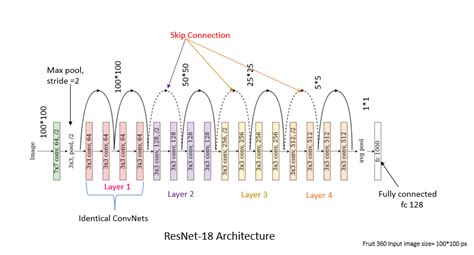 Resnet Architecture Deep Learning With Pytorch Vrogue