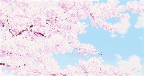 Anime Pink Scenery Flower Pastel Sakura Aesthetic Art On Tumblr School