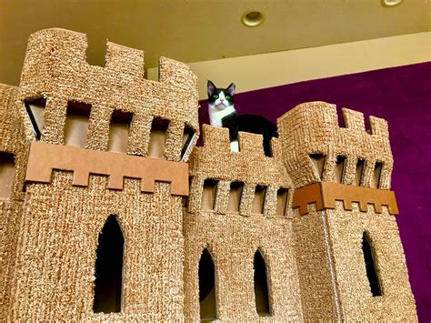Diy Cat Castle Gothic Plans Cardboard Play House Pattern Etsy