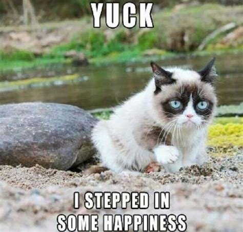 The 18 Best Ever Grumpy Cat Memes