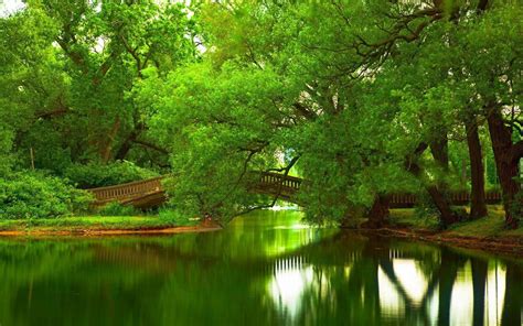 Online Crop Body Of Water Green Bridge Trees Hd Wallpaper