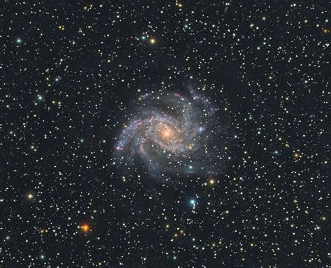 Ngc 6946 Fireworks Galaxy Imaging Deep Sky Stargazers Lounge