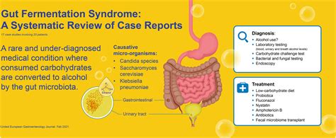 gut fermentation syndrome a systematic review of case reports bayoumy 2021 united