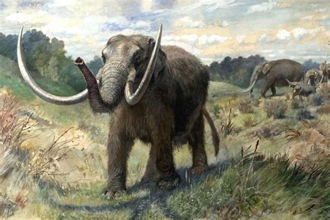 Mastodon Bones Push Arrival Of Early Humans In America Back By 115000