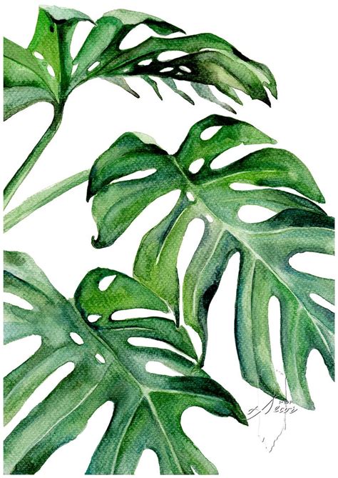 Watercolor Leaves Watercolor Print Watercolor Paintings Plant