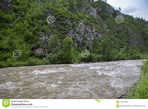 Mountain River In Siberia Stock Photo Image Of North 103168942