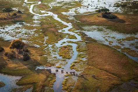 Inside The Ambitious Mission To Save Africas Okavango Delta