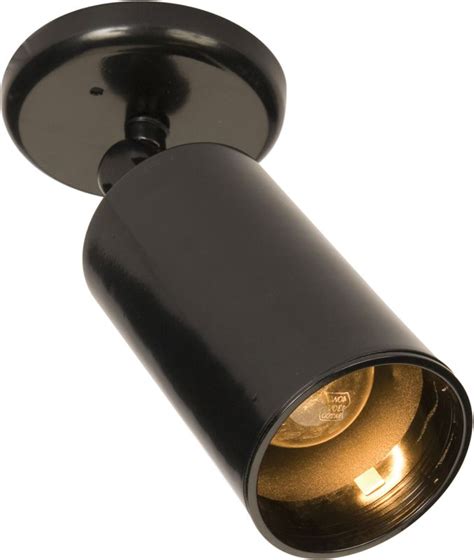 Point them downward for tabletop display lighting in the dining room or use. Maxim 92010BK Black 1 Light Ceiling or Wall Mounted Narrow ...