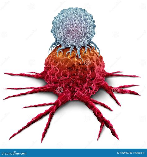 T Cell Attacking Cancer Tumor Stock Illustration Illustration Of