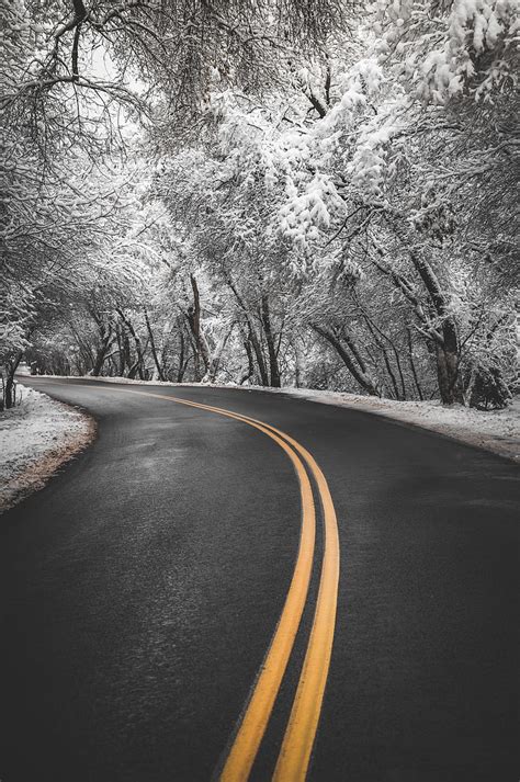 Road Turn Asphalt Marking Trees Snow Winter Hd Phone Wallpaper