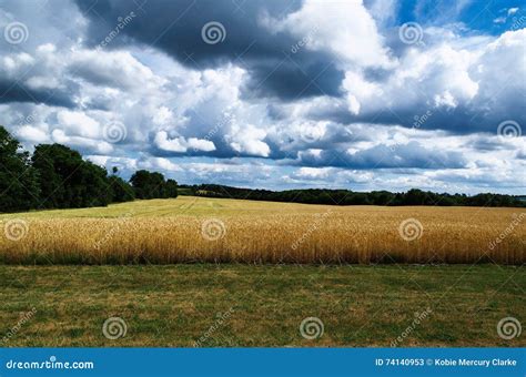 Farm Field Ready For Agriculture Harvesting With Blue Sky And Clouds