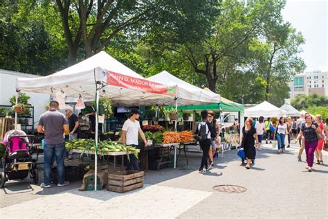 The Best Tent For Farmers Market Top Canopies For Local Markets