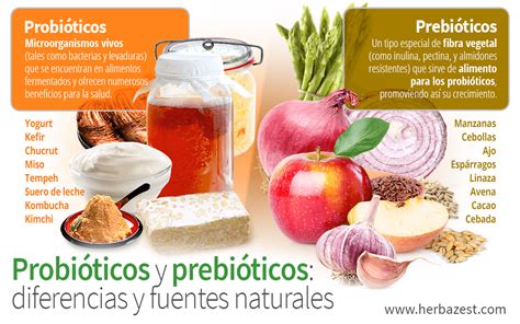 Prebióticos Y Probióticos Diferencias Y Fuentes Naturales Herbazest