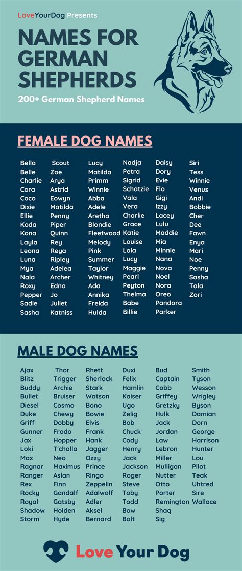 German Shepherd Dog Names 200 Different Male And Female