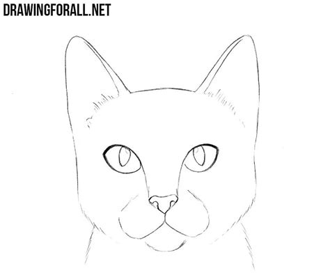 How To Draw A Cat Head