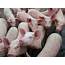 Hundred Of Pigs Die In Sierra Leone Raising Health Concerns  Politico SL